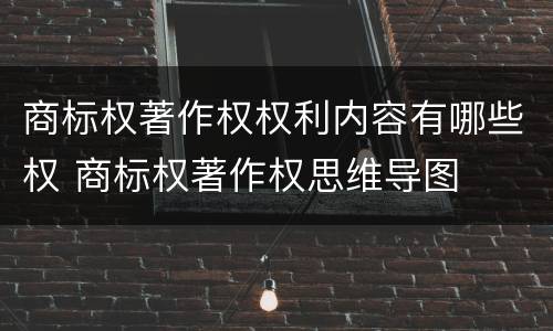 商标权著作权权利内容有哪些权 商标权著作权思维导图