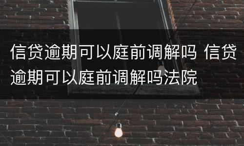 信贷逾期可以庭前调解吗 信贷逾期可以庭前调解吗法院