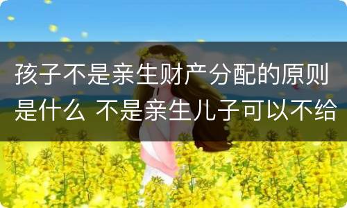 孩子不是亲生财产分配的原则是什么 不是亲生儿子可以不给财产吗
