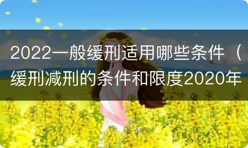 2022一般缓刑适用哪些条件（缓刑减刑的条件和限度2020年）