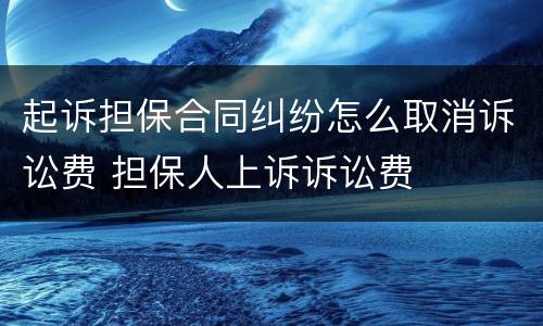 起诉担保合同纠纷怎么取消诉讼费 担保人上诉诉讼费