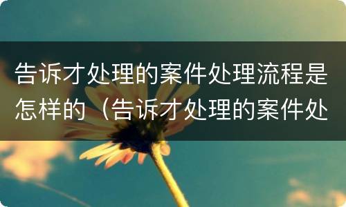 告诉才处理的案件处理流程是怎样的（告诉才处理的案件处理流程是怎样的呢）