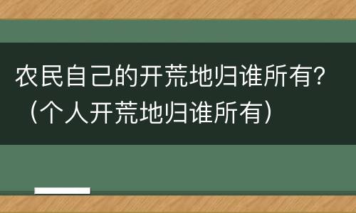 农民自己的开荒地归谁所有？（个人开荒地归谁所有）