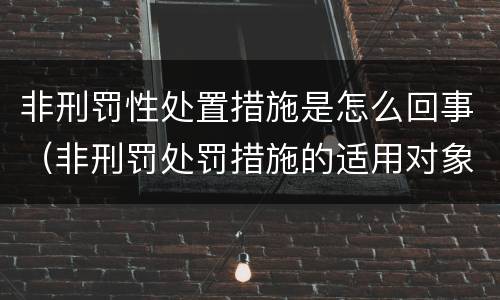 非刑罚性处置措施是怎么回事（非刑罚处罚措施的适用对象）