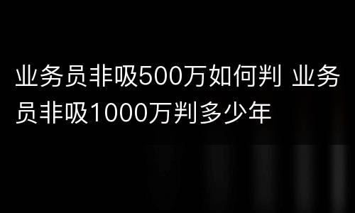 业务员非吸500万如何判 业务员非吸1000万判多少年