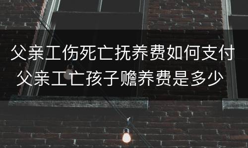 父亲工伤死亡抚养费如何支付 父亲工亡孩子赡养费是多少