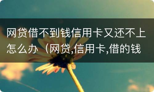 网贷借不到钱信用卡又还不上怎么办（网贷,信用卡,借的钱没有钱还怎么办）