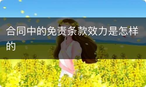 合同中的免责条款效力是怎样的