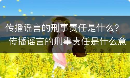 传播谣言的刑事责任是什么？ 传播谣言的刑事责任是什么意思