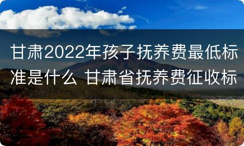 甘肃2022年孩子抚养费最低标准是什么 甘肃省抚养费征收标准
