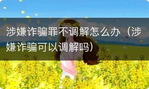 涉嫌诈骗罪不调解怎么办（涉嫌诈骗可以调解吗）