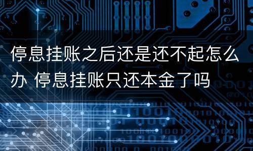 停息挂账之后还是还不起怎么办 停息挂账只还本金了吗