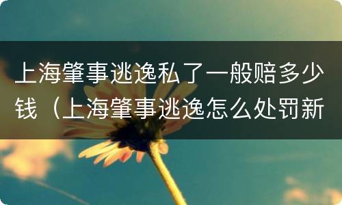 上海肇事逃逸私了一般赔多少钱（上海肇事逃逸怎么处罚新交规）