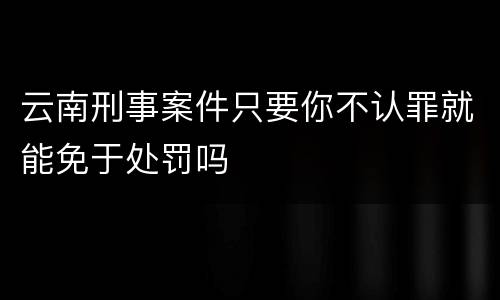 云南刑事案件只要你不认罪就能免于处罚吗