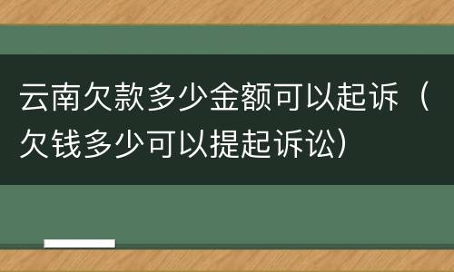 云南欠款多少金额可以起诉（欠钱多少可以提起诉讼）