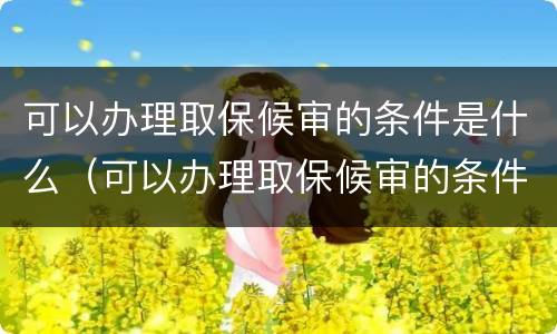 可以办理取保候审的条件是什么（可以办理取保候审的条件是什么呢）