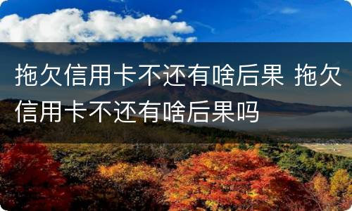拖欠信用卡不还有啥后果 拖欠信用卡不还有啥后果吗