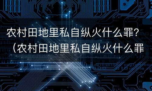 农村田地里私自纵火什么罪？（农村田地里私自纵火什么罪名）