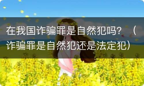 在我国诈骗罪是自然犯吗？（诈骗罪是自然犯还是法定犯）