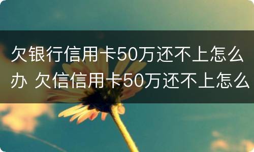 欠银行信用卡50万还不上怎么办 欠信信用卡50万还不上怎么办
