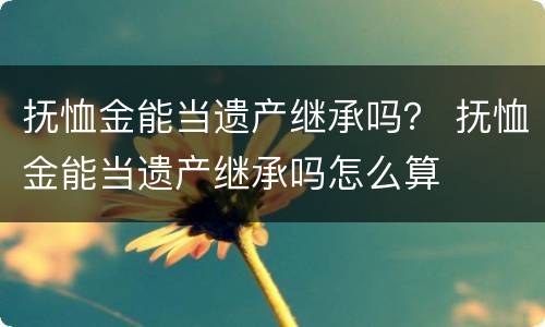 抚恤金能当遗产继承吗？ 抚恤金能当遗产继承吗怎么算