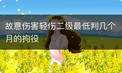 故意伤害轻伤二级最低判几个月的拘役
