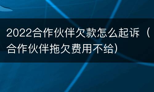 2022合作伙伴欠款怎么起诉（合作伙伴拖欠费用不给）