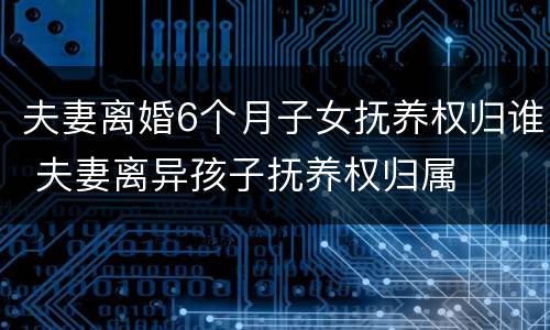 夫妻离婚6个月子女抚养权归谁 夫妻离异孩子抚养权归属