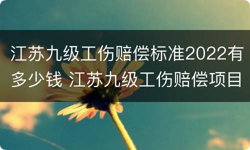 江苏九级工伤赔偿标准2022有多少钱 江苏九级工伤赔偿项目一览表