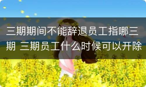 三期期间不能辞退员工指哪三期 三期员工什么时候可以开除