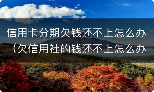信用卡分期欠钱还不上怎么办（欠信用社的钱还不上怎么办可以分期还吗）