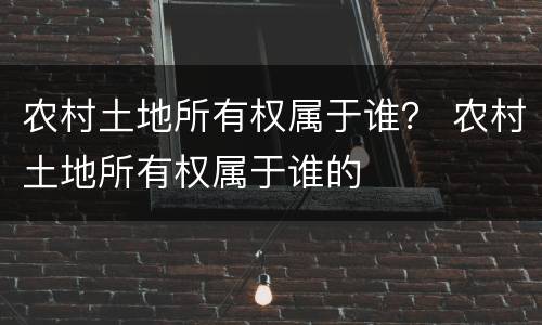 农村土地所有权属于谁？ 农村土地所有权属于谁的