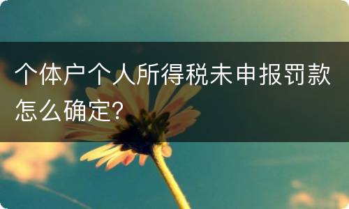 个体户个人所得税未申报罚款怎么确定？