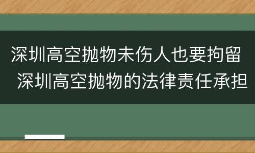深圳高空抛物未伤人也要拘留 深圳高空抛物的法律责任承担