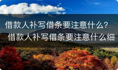 借款人补写借条要注意什么？ 借款人补写借条要注意什么细节