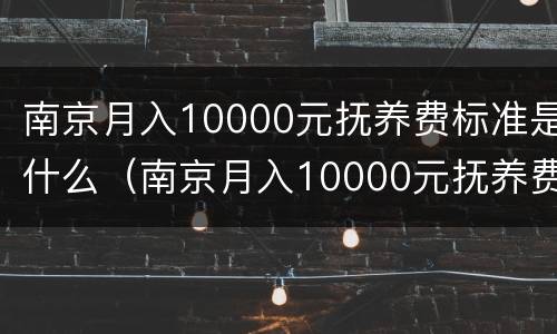 南京月入10000元抚养费标准是什么（南京月入10000元抚养费标准是什么呢）