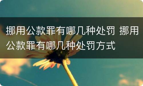 挪用公款罪有哪几种处罚 挪用公款罪有哪几种处罚方式
