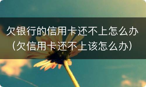 欠银行的信用卡还不上怎么办（欠信用卡还不上该怎么办）