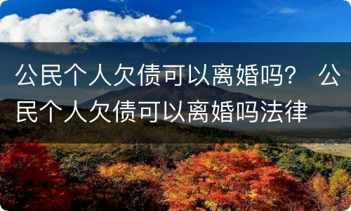 公民个人欠债可以离婚吗？ 公民个人欠债可以离婚吗法律