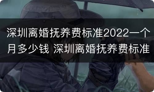 深圳离婚抚养费标准2022一个月多少钱 深圳离婚抚养费标准2022一个月多少钱啊
