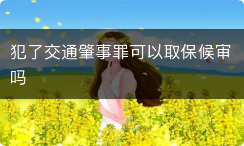 犯了交通肇事罪可以取保候审吗