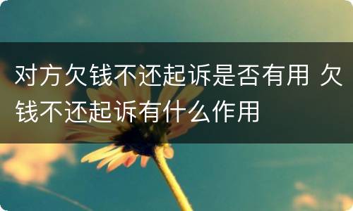 对方欠钱不还起诉是否有用 欠钱不还起诉有什么作用