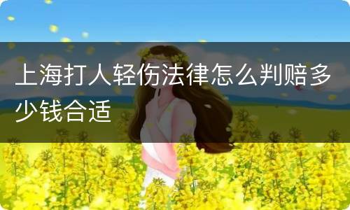 上海打人轻伤法律怎么判赔多少钱合适