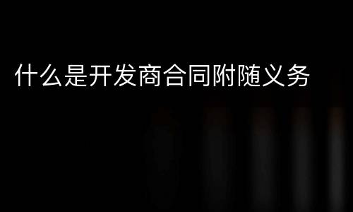 什么是开发商合同附随义务