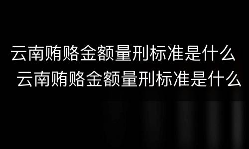 云南贿赂金额量刑标准是什么 云南贿赂金额量刑标准是什么