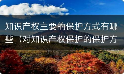 知识产权主要的保护方式有哪些（对知识产权保护的保护方式有哪些）