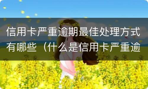 信用卡严重逾期最佳处理方式有哪些（什么是信用卡严重逾期）