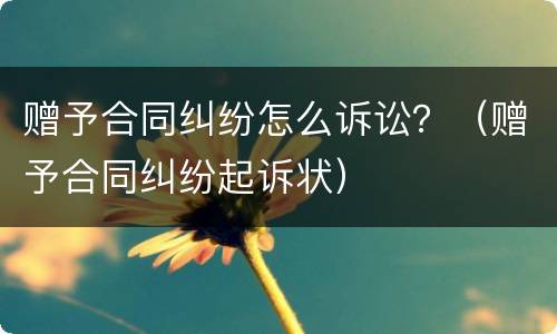 赠予合同纠纷怎么诉讼？（赠予合同纠纷起诉状）