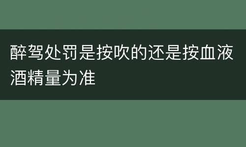 醉驾处罚是按吹的还是按血液酒精量为准