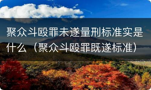 聚众斗殴罪未遂量刑标准实是什么（聚众斗殴罪既遂标准）